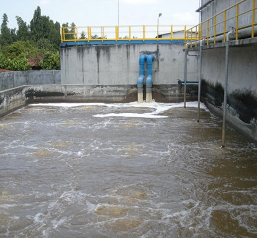 Sludge-Reduction-at-PA-plant