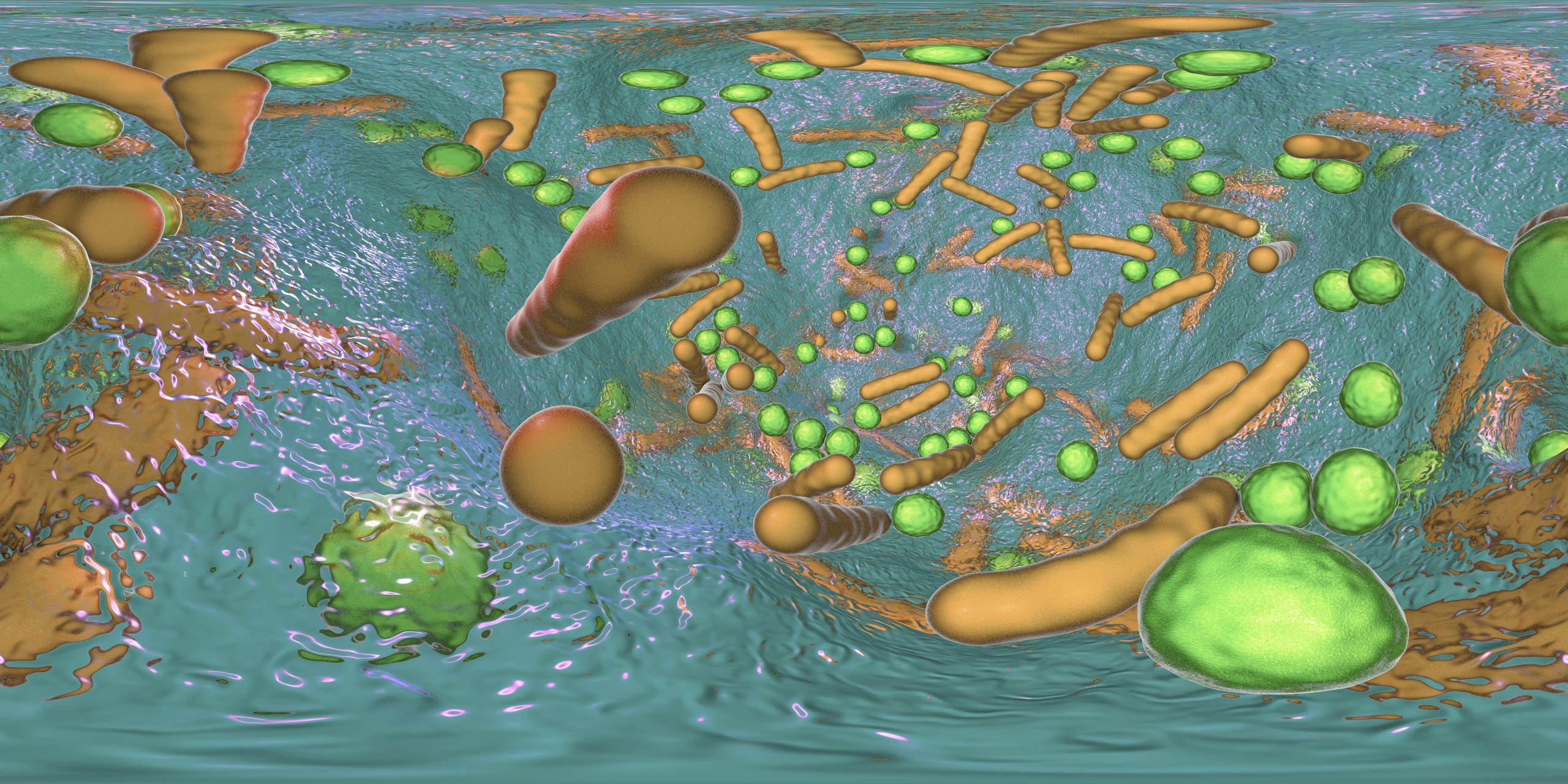 A graphic of microbial bacteria in the water