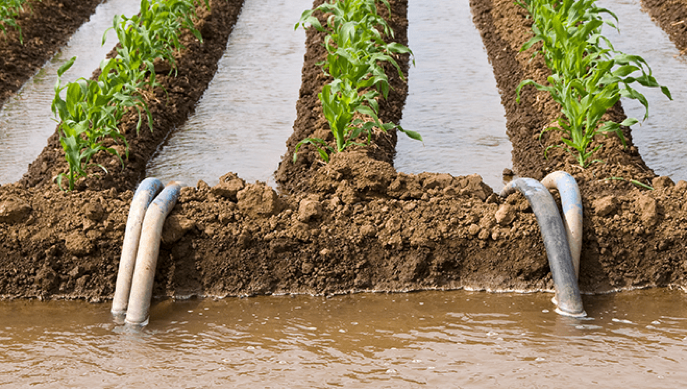 Wastewater Treatment in Agriculture: The Definitive Guide