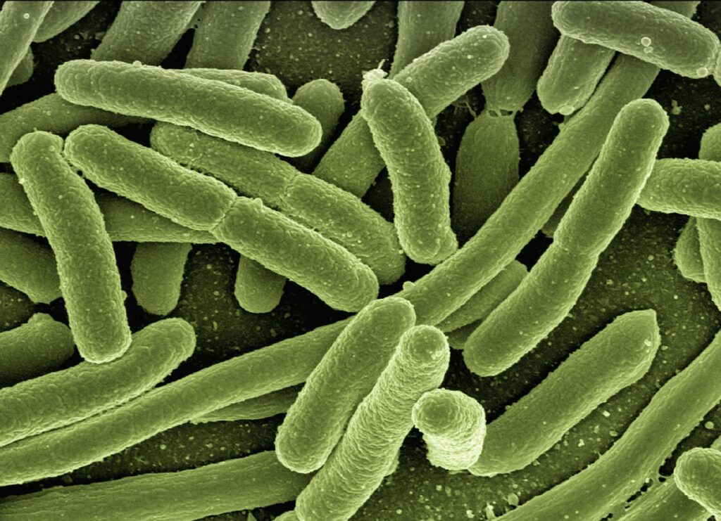 End of Debate: Bacteria Settle Solids Better Than Polymer