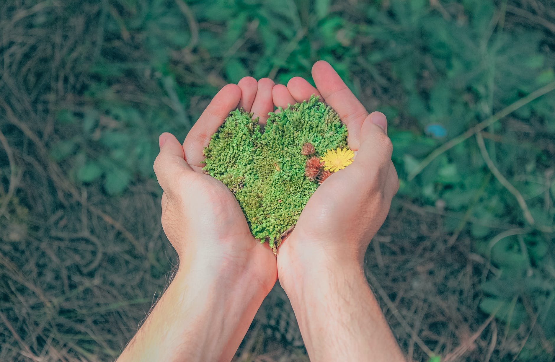 6 Sustainable Businesses That Are Leading the Way in 2024